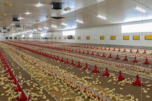 Корейское оборудование для птицефабрики мясного напольного содержания, на 120 000 голов